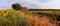 Old Barn in SunFlower and Lavender Fields on the Plateau De Valensole