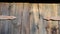 Old barn wood doors with rusty latch on it, the wood board texture are clear