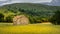 The old barns in Swaledale