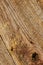 Old barnwood texture background