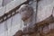 Old bas-relief in the form of the human head on a building facade