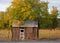 An old battered wooden shed with a tin roof sits under a tree with gold and green leaves blowing in the wind