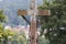 Old bavarian catholic crucifix