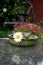 Old beam-pump with flowers on marble top