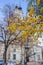 An old beautiful church behind autumn tree. Religious architecture of Russia.
