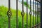 Old beautiful decorative metal wrought fence with artistic forging. Iron rusty guardrail need to be painting and repaired