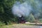 Old behaving wood-burning locomotive