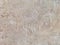 Old beige wall covered with uneven plaster. Texture of vintage shabby sand stone surface, closeup.