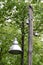 An old bell-shaped street lamp and two old-fashioned ceramic insulators mounted on an old wooden pole