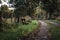 Old bench on a dirt road