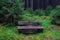 The old bench in forest in Harz, Germany