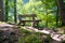 Old bench on hillside in public park