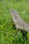 Old bench overgrown by plants