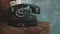 An old black dial telephone