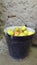 Old black enameled bucket full of yellow rosy pears