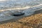 Old black rubber tire left on beach, environment pollution concept, selective focus, color toned picture. Discarded old tyre in bl