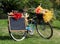 Old blue bicycle, adorned with flowers, with a blank black chalkboard, used as an advertising poster.