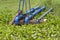 Old Blue pump pipe and water hyacinth