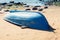 Old blue rowboat lays on sandy beach