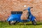 Old Blue Vespa parked on green lawn in Rome, Italy