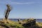 Old boat overgrown with grass on the shore of a large lake. T