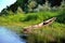 Old boat riverside green grass, green trees, blue sky