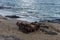 An old boat`s diesel engine abandoned at the beach, Big Island, Hawaii