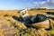 Old boat wreck abandoned in marshland