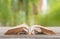 Old book open on table, backdrop blurred green nature