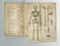 Old book, vintage and anatomy or study of bones, human body parts or latin literature, manuscript or ancient scripture