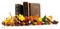 Old Books with Autumn Leaves and Fruits isolated on white Background - Panorama