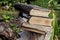 Old books on old tree