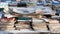 Old books and papers are stacked on the counter, selling vintage books