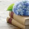 Old books with romantic blue flowers