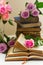 Old books with rose flower