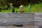 Old bottles and jars discarded on a wooden garden fence