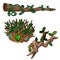 Old branches of dead-wood decorated with precious stones and climbing plants, isolated on a white background. The roots