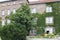 Old brick house with large beautiful windows entwined with green