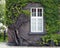 Old brick house with large beautiful windows entwined with green climbing ivy in the castle of Wawel