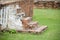 Old brick stair in history temple at Ayutthaya Thailand