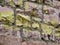 Old brick and stucco building, Las Vegas, New Mexico