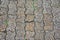Old brick texture sidewalk.
