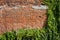 Old Brick Wall Background With Creeping Plants