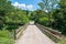 Old bridge, dirt road over Olt river