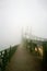 Old bridge in the fog. Mystical vision. A couple of people walk together in the fog.