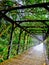 Old Bridge in Halaba, Badulla , srilanka