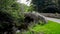 Old bridge over a stream on dartmoor national park Devon uk