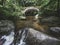 Old bridge of the Ribeyrolles in Gorges of the monne river in the green forest, olloix, Puy-de-DÃ´me, Auvergne