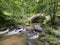 Old bridge of the Ribeyrolles in Gorges of the monne river in the green forest, Puy-de-DÃ´me, Auvergne