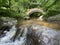 Old bridge of the Ribeyrolles in Gorges of the monne river in the green forest, Puy-de-DÃ´me, Auvergne